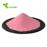 High Quality Freeze Dried Powder  Acai Berry With Best Price