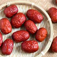 Chinese organic dry red date with good price