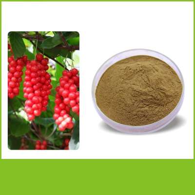 Best-quality Organic Certificate Dried Schisandra Chinensis Berry Extract Powder in bulk